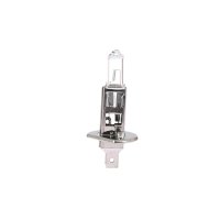 Ampoule 12V H1 55W