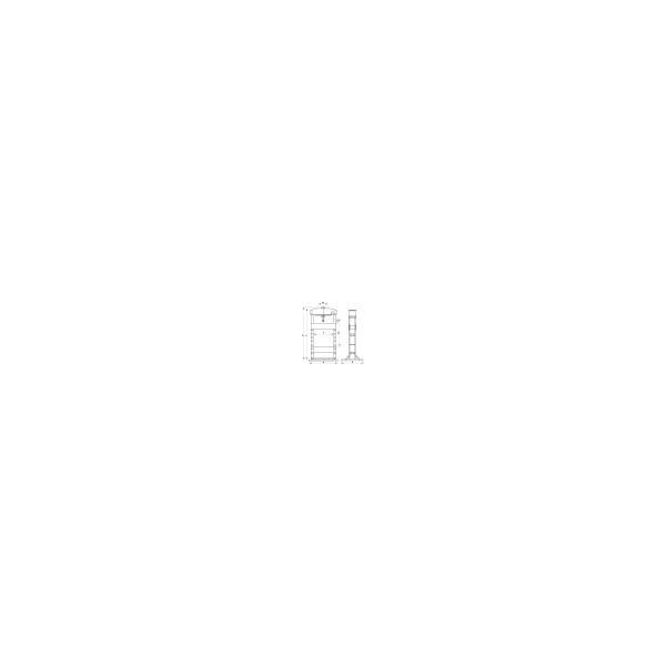 Presse hydraulique 50T