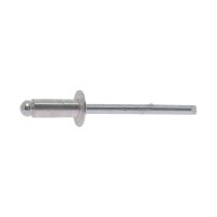 Rivets tête plate acier - acier