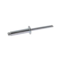 Rivets tête plate acier - acier